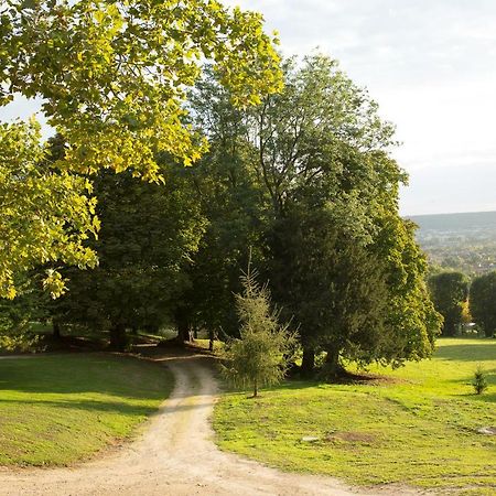 La Clairiere De La Reine Hortense - Pierres D'Histoire Saint-Prix  Dış mekan fotoğraf